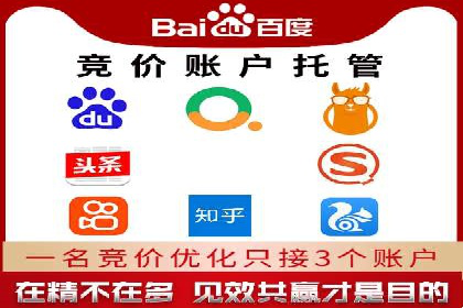 SEM托管服务，实战案例深度剖析